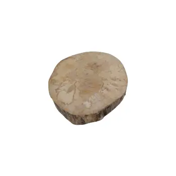Plaster Jawora 34x31x4cm