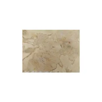 Plaster Jawora 34x31x4cm