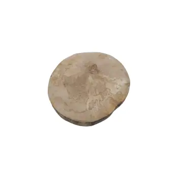 Plaster Jawora 35x32x4cm