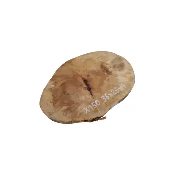 Plaster Jawora 36x26x4cm