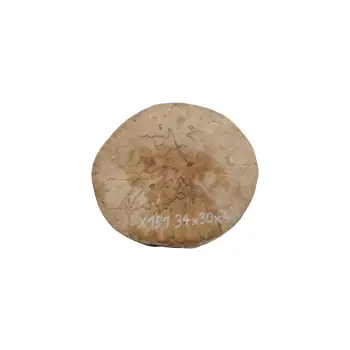 Plaster Jawora 34x30x4cm