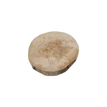 Plaster Jawora 34x30x4cm