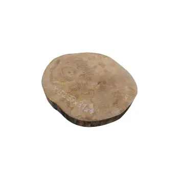 Plaster Jawora 37x31x4cm