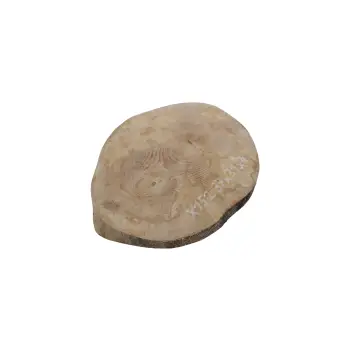 Plaster Jawora 37x31x4cm