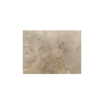 Plaster Jawora 37x31x4cm