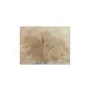 Plaster Jawora 36x32x4cm