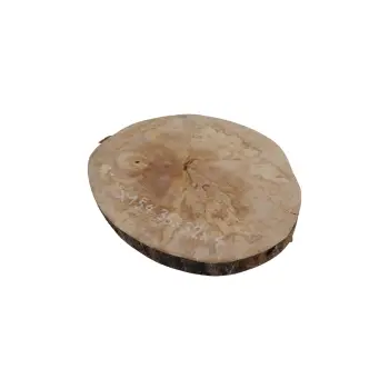 Plaster Jawora 36x32x4cm