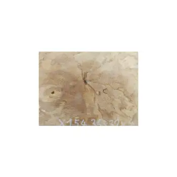 Plaster Jawora 36x32x4cm