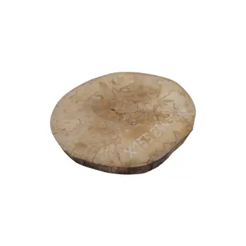 Plaster Jawora 34x30x4cm