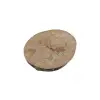 Plaster Jawora 35x31x4cm