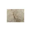 Plaster Jawora 35x31x4cm