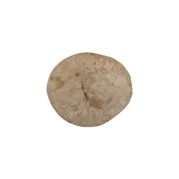 Plaster Jawora 35x31x4cm