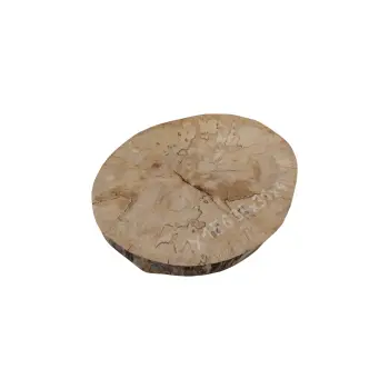Plaster Jawora 35x31x4cm