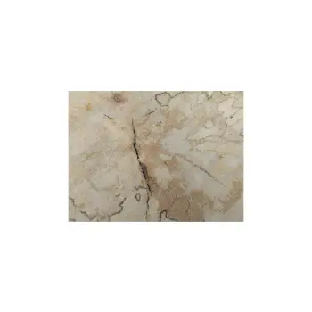 Plaster Jawora 35x31x4cm