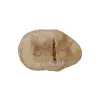 Plaster Jawora 38x26x4cm