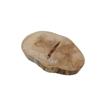 Plaster Jawora 38x26x4cm