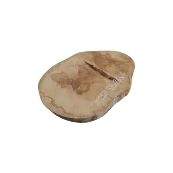 Plaster Jawora 38x26x4cm