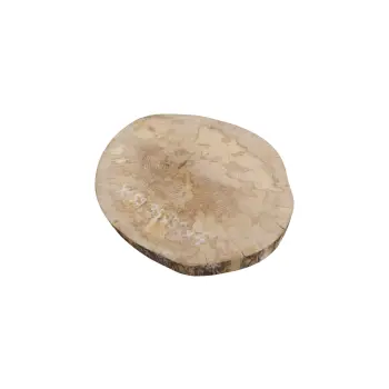 Plaster Jawora 35x32x4cm