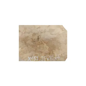 Plaster Jawora 35x32x4cm