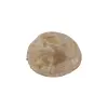 Plaster Jawora 37x32x4cm