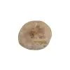 Plaster Jawora 34x31x4cm