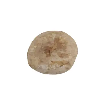 Plaster Jawora 34x31x4cm
