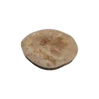 Plaster Jawora 34x31x4cm