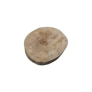 Plaster Jawora 34x31x4cm
