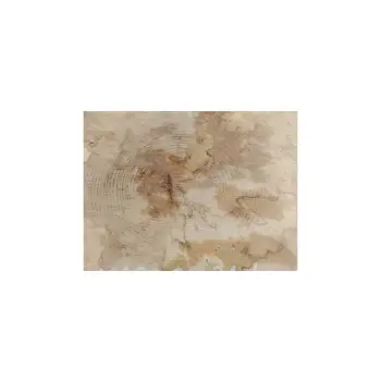 Plaster Jawora 34x31x4cm