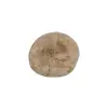 Plaster Jawora 34x32x4cm