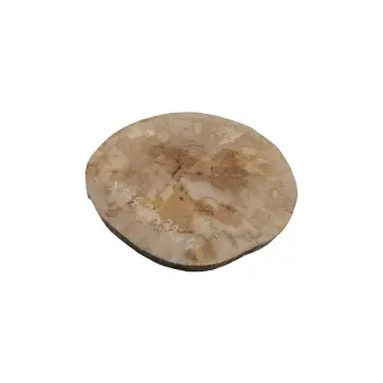 Plaster Jawora 34x32x4cm