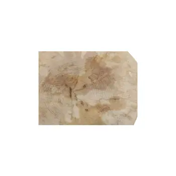 Plaster Jawora 34x32x4cm