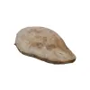 Plaster Jawora 40x28x4cm
