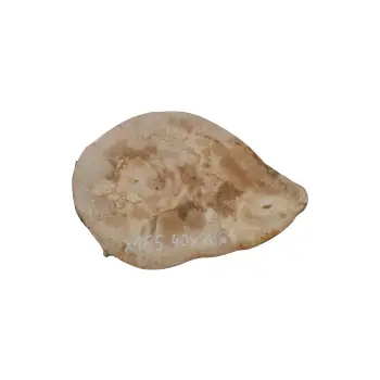 Plaster Jawora 40x28x4cm