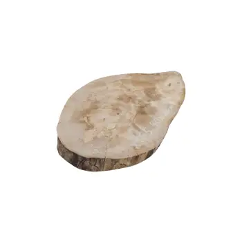 Plaster Jawora 40x28x4cm