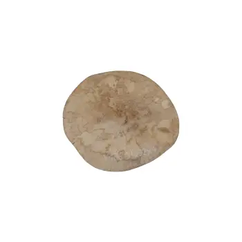 Plaster Jawora 35x32x4cm