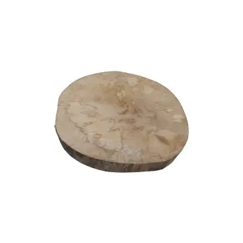 Plaster Jawora 35x32x4cm