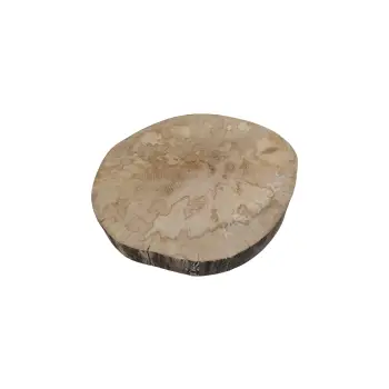 Plaster Jawora 35x32x4cm