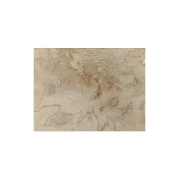 Plaster Jawora 35x32x4cm
