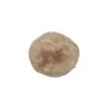 Plaster Jawora 36x32x4cm