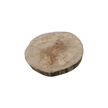 Plaster Jawora 36x32x4cm