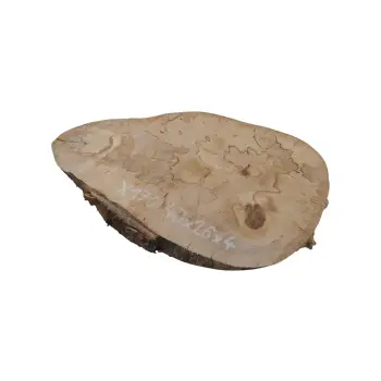 Plaster Jawora 40x26x4cm