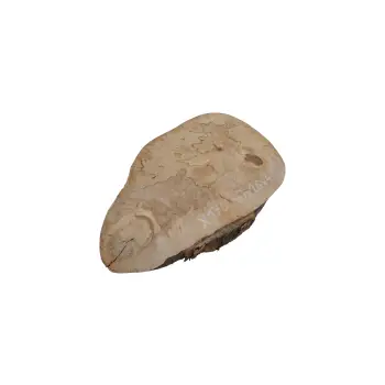 Plaster Jawora 40x26x4cm