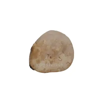 Plaster Jawora 28x28x4cm