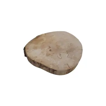 Plaster Jawora 28x28x4cm