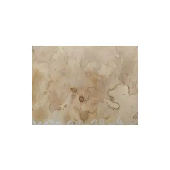 Plaster Jawora 28x28x4cm