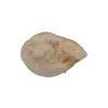 Plaster Jawora 40x29x4cm