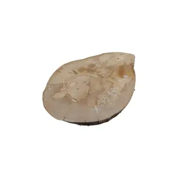 Plaster Jawora 40x29x4cm