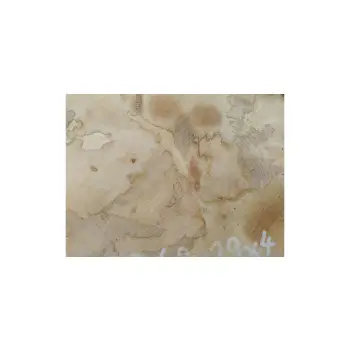 Plaster Jawora 40x29x4cm