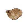 Plaster Jawora 39x37x4cm